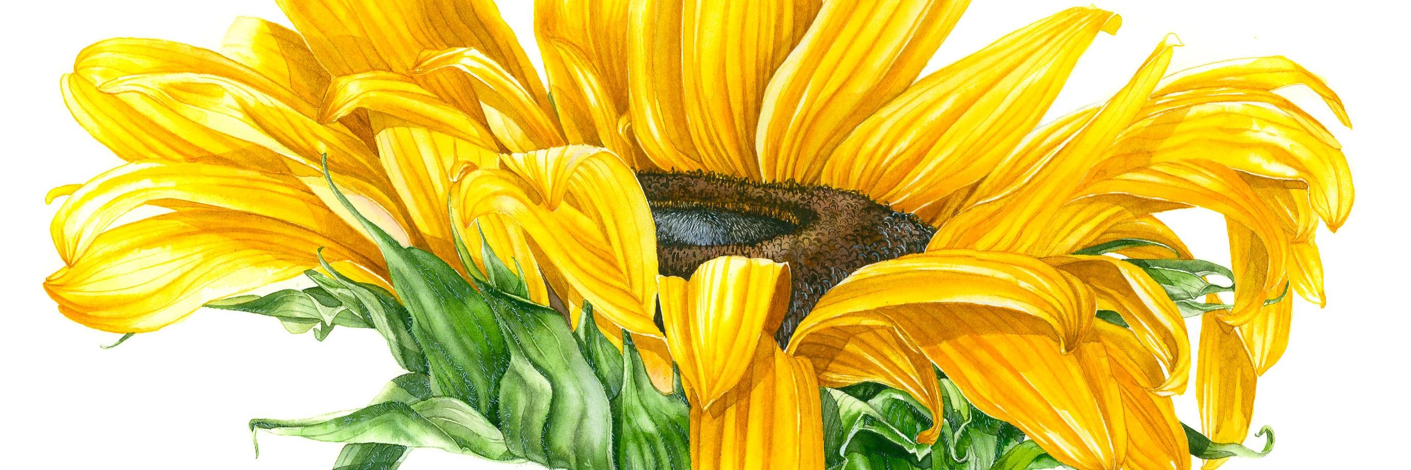 ctaylorart's profile banner image