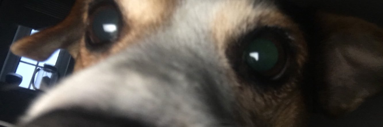 JoeyNorfolk's profile banner image
