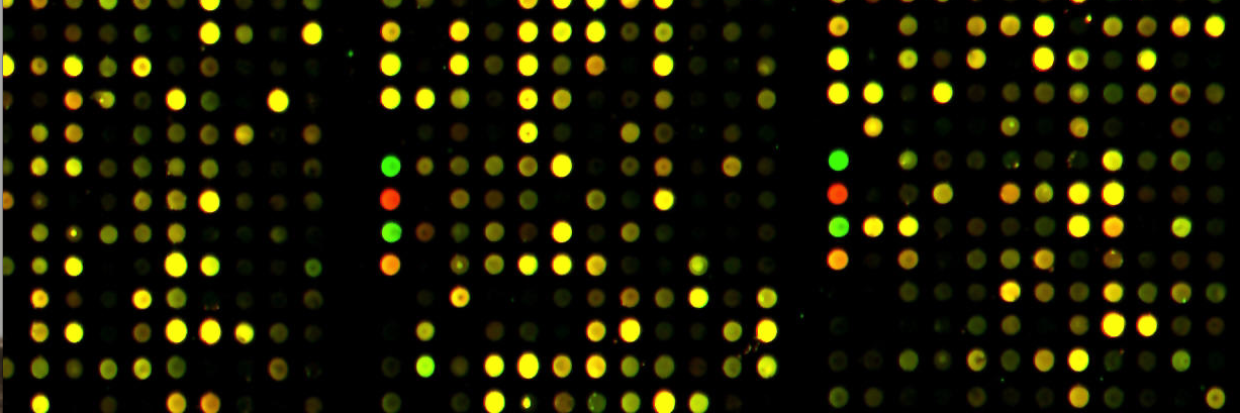 GenomicoNews's profile banner image