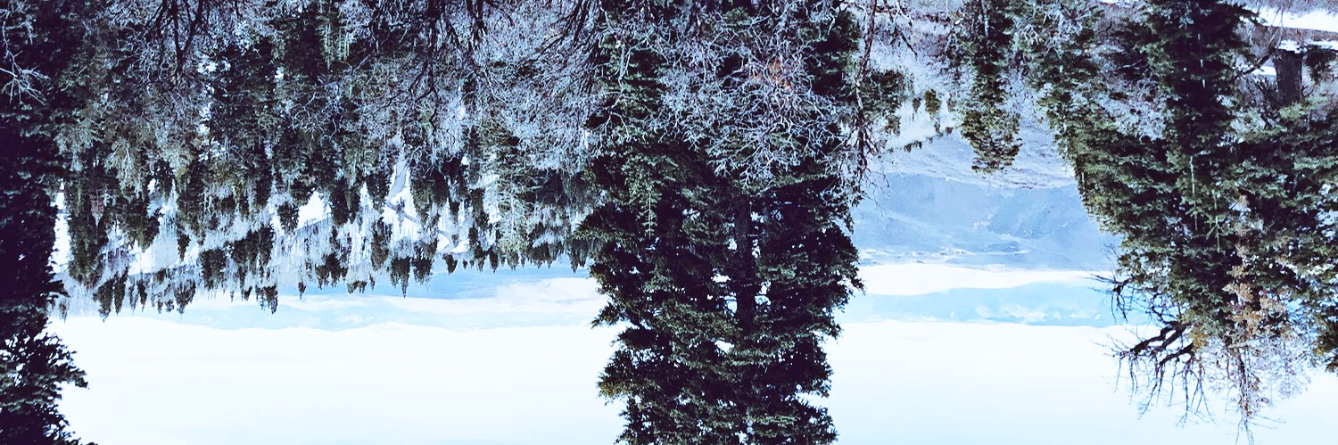 jackcawdery's profile banner image