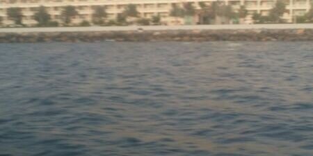 noony994's profile banner image