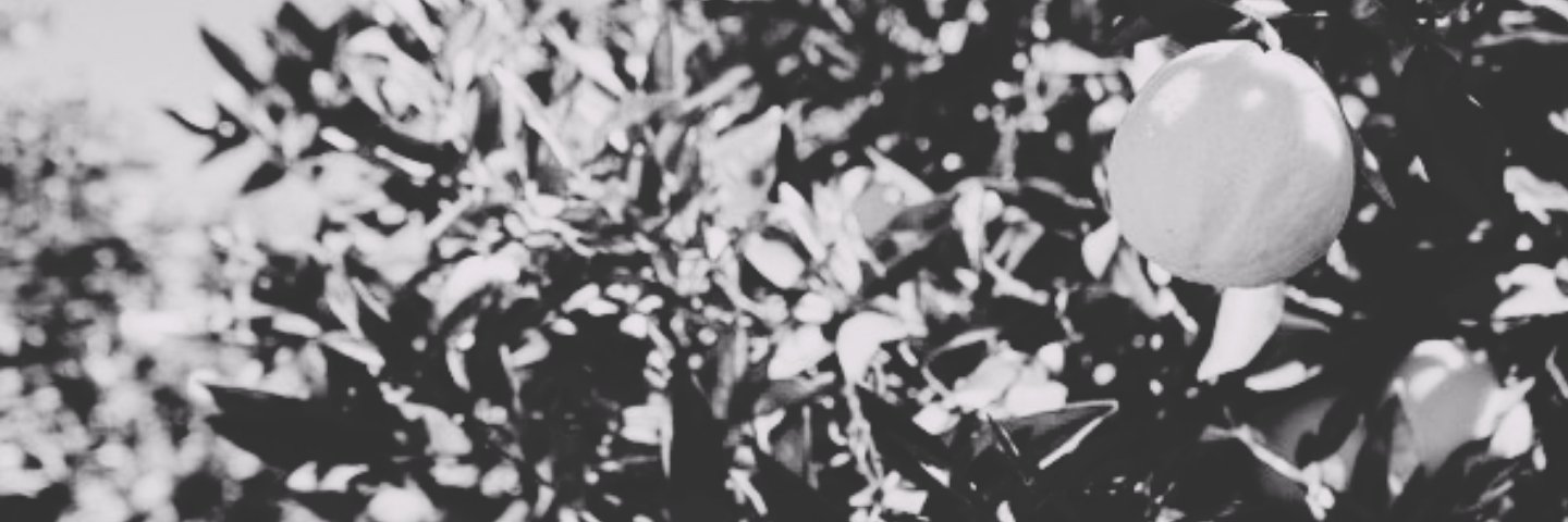 aplaidheart's profile banner image