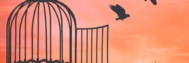 Kuwaiit_'s profile banner image