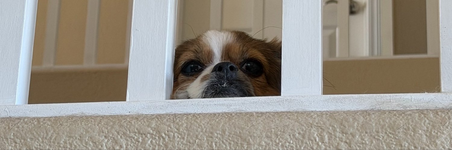 cantfindvincent's profile banner image