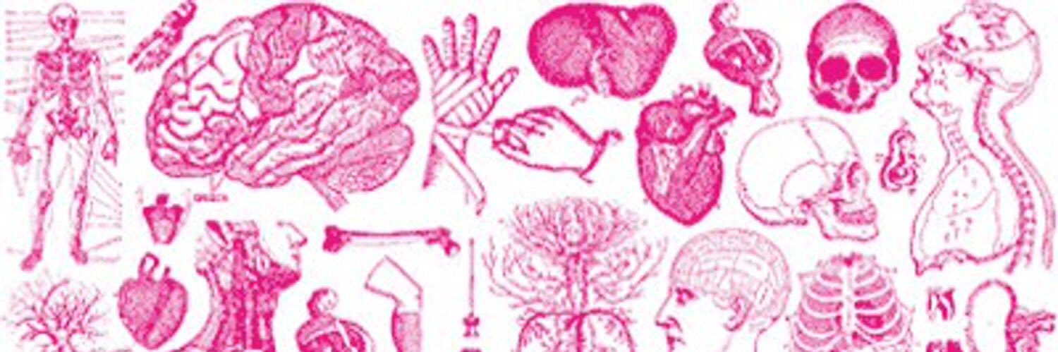 AllyRoseMacLeod's profile banner image