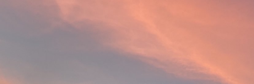 Monzgomz's profile banner image