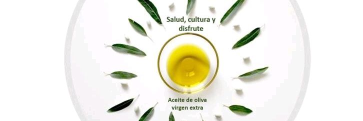 Dra. Luisa Solano Pérez banner