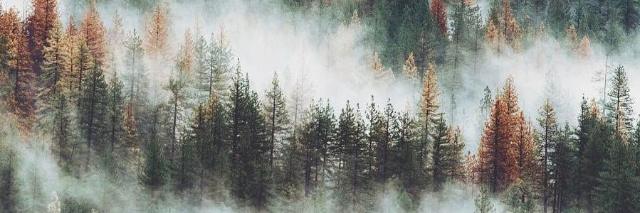 JSid__'s profile banner image