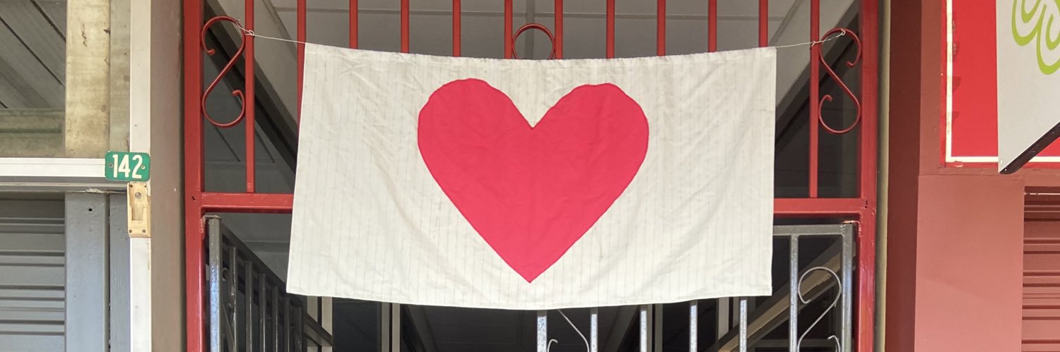 Lisa Cameron banner