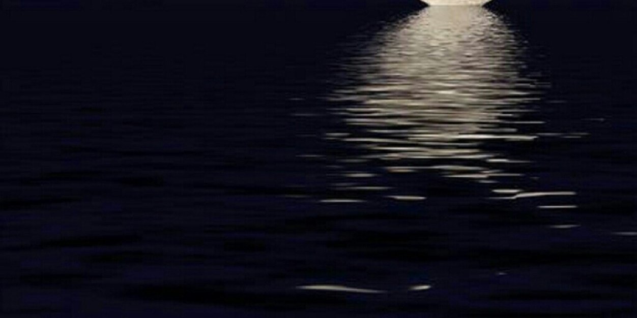 D_LAAAL's profile banner image