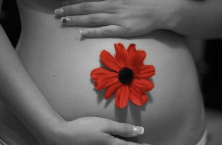 Rocio2952's profile banner image