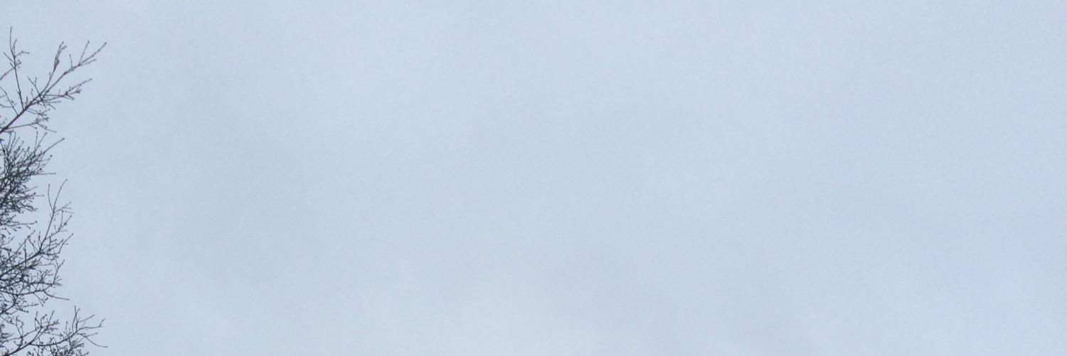 ImJoeyMartin's profile banner image
