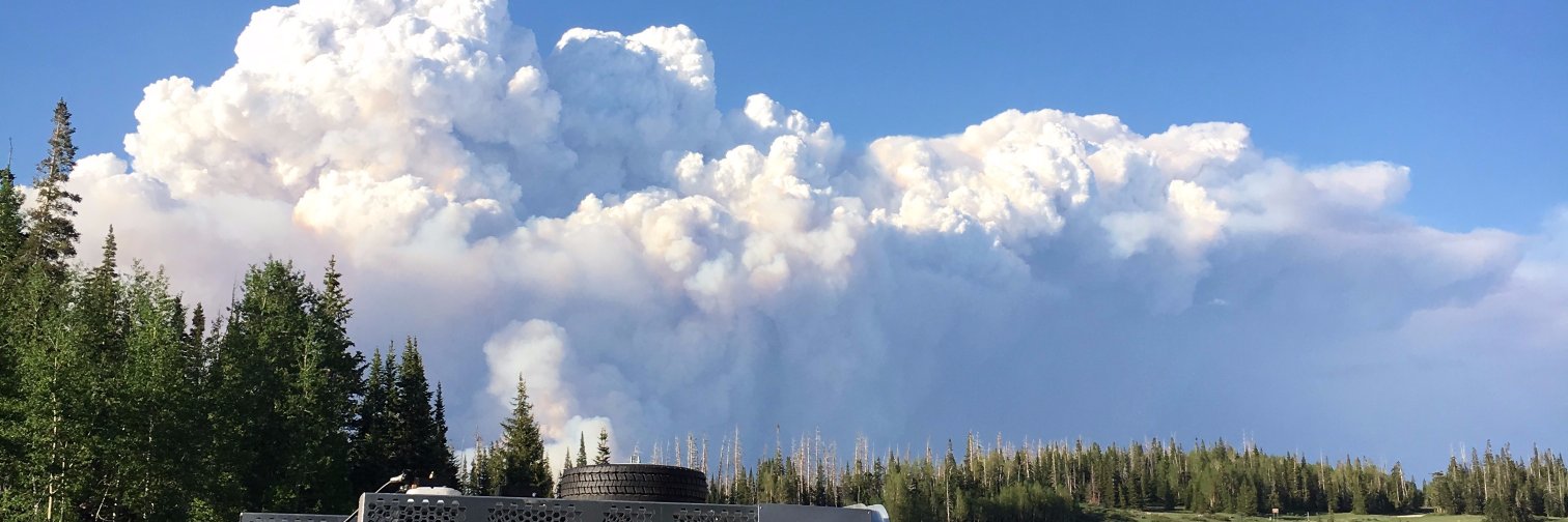 WDSfire's profile banner image