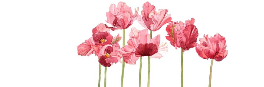 indic_ale's profile banner image