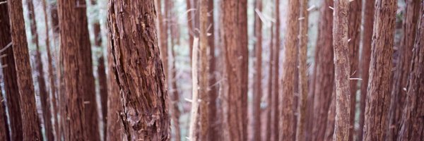 johnmattdavis Profile Banner