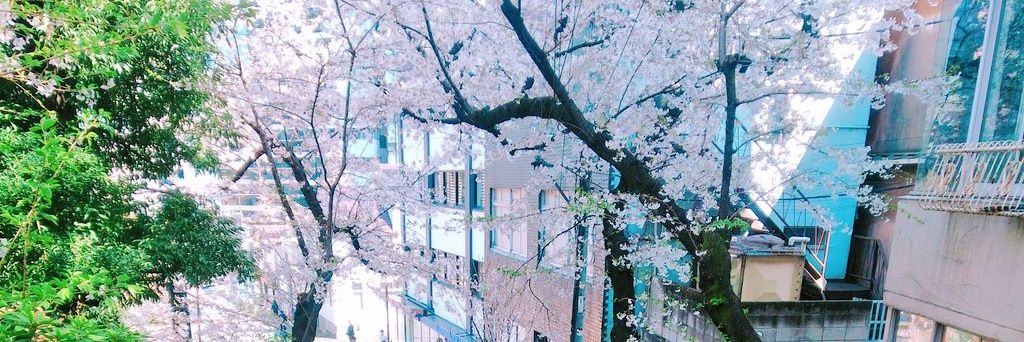 叶夢 banner
