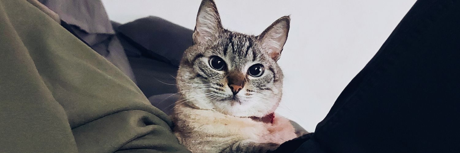 IsadaMaria's profile banner image