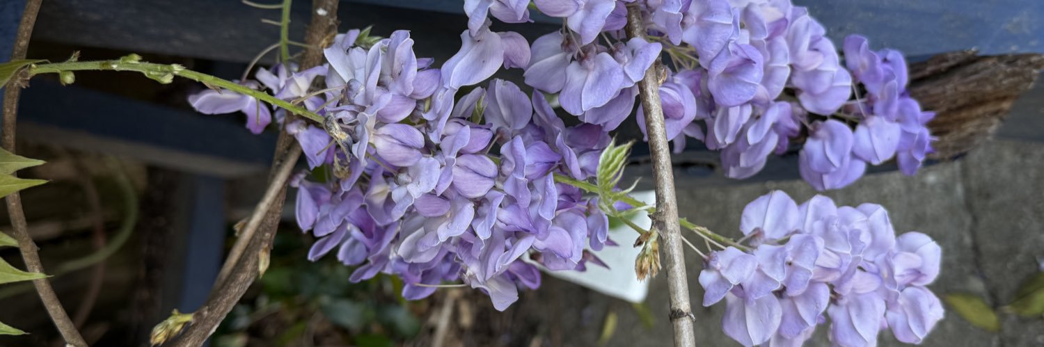 eric Lundquist banner