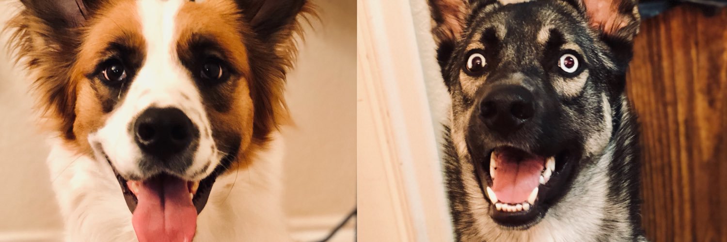 morgankostich's profile banner image