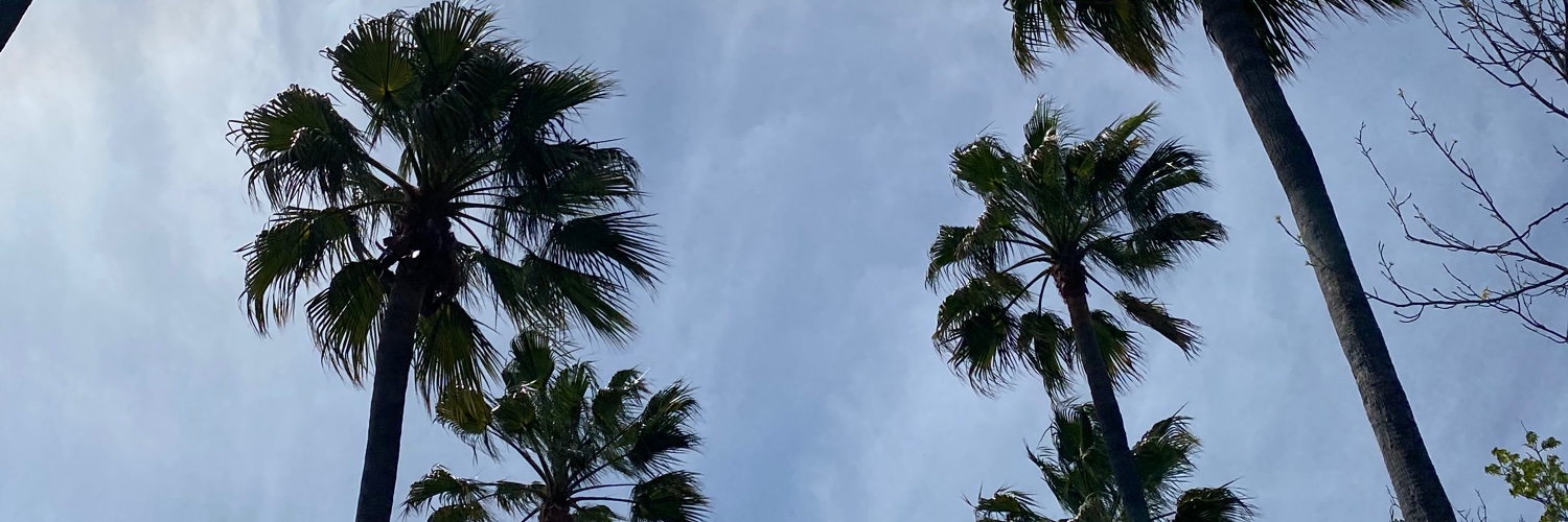 dreacortess's profile banner image