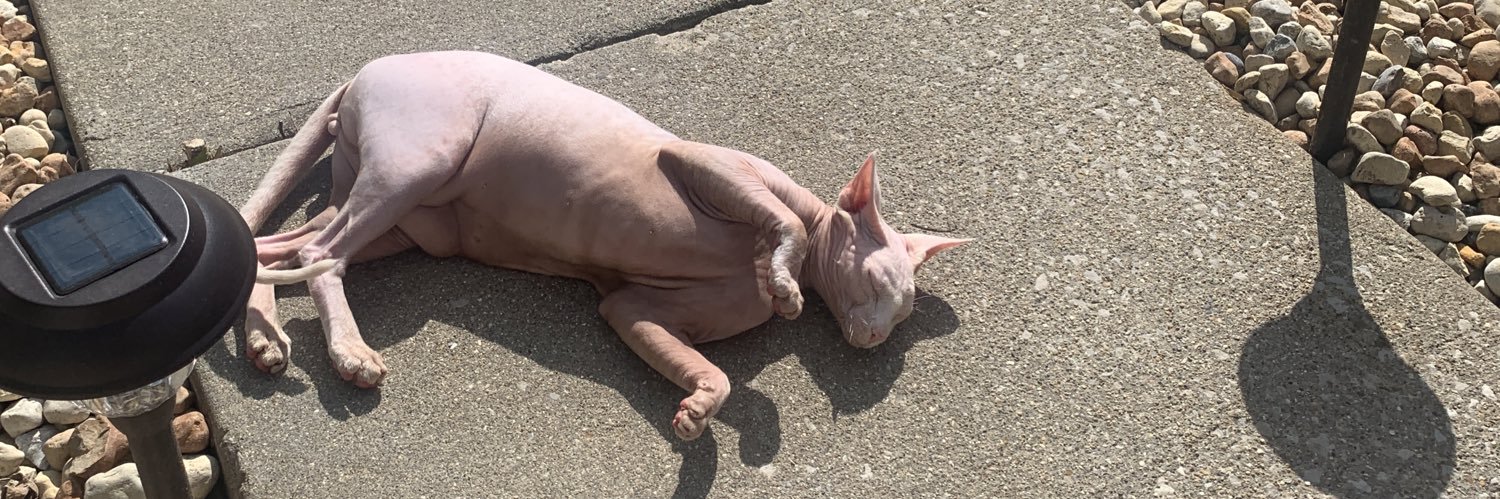 BeJones98's profile banner image