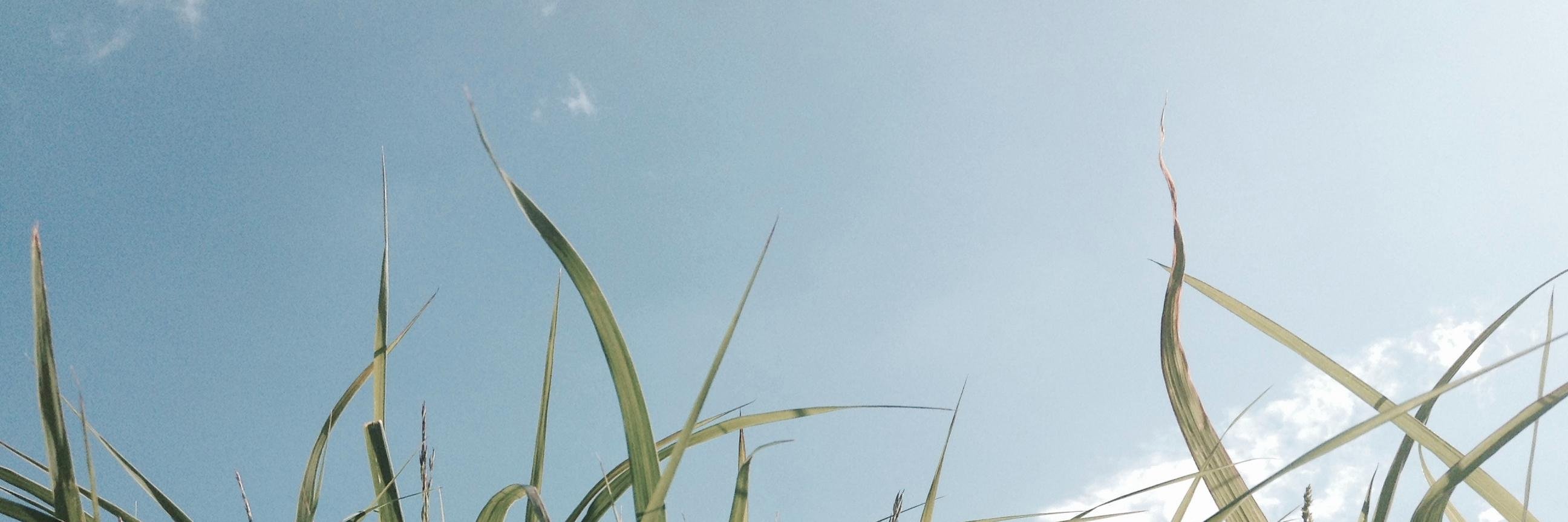 uResist's profile banner image
