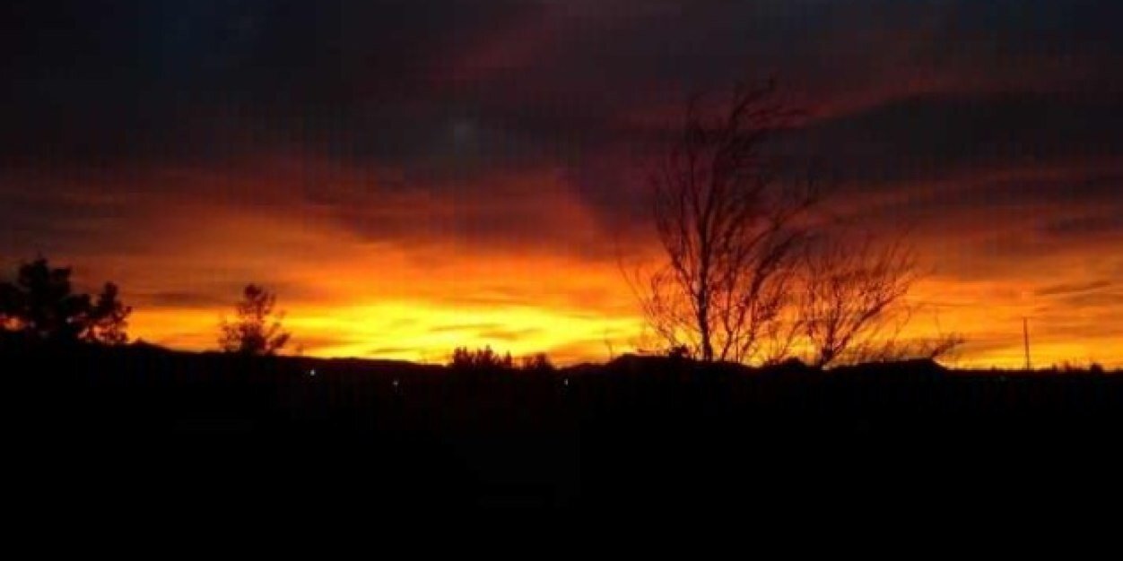 Timothy Ginther banner