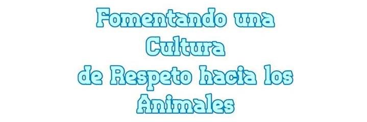 AnimaleSinHogar's profile banner image