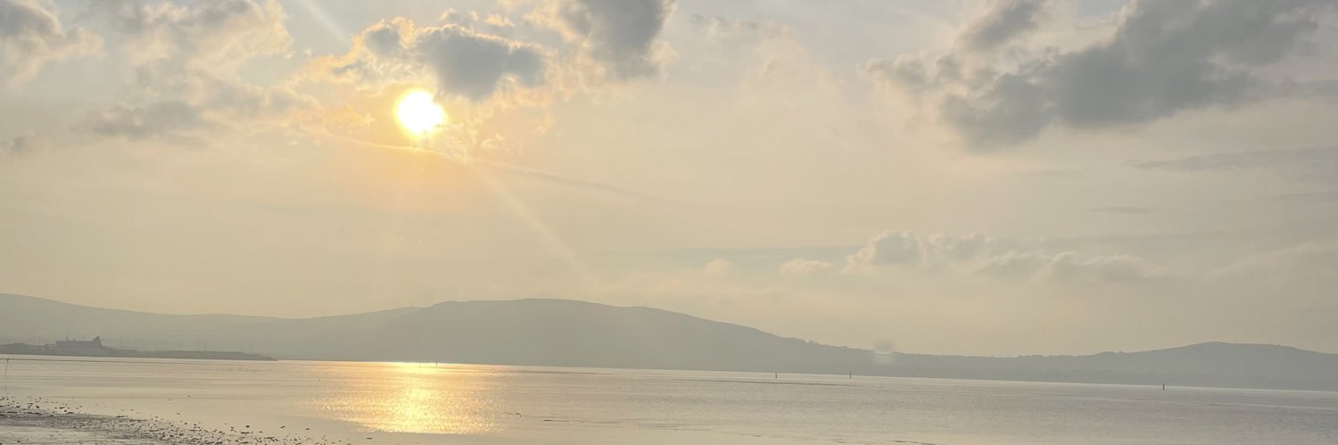 emilybachee's profile banner image