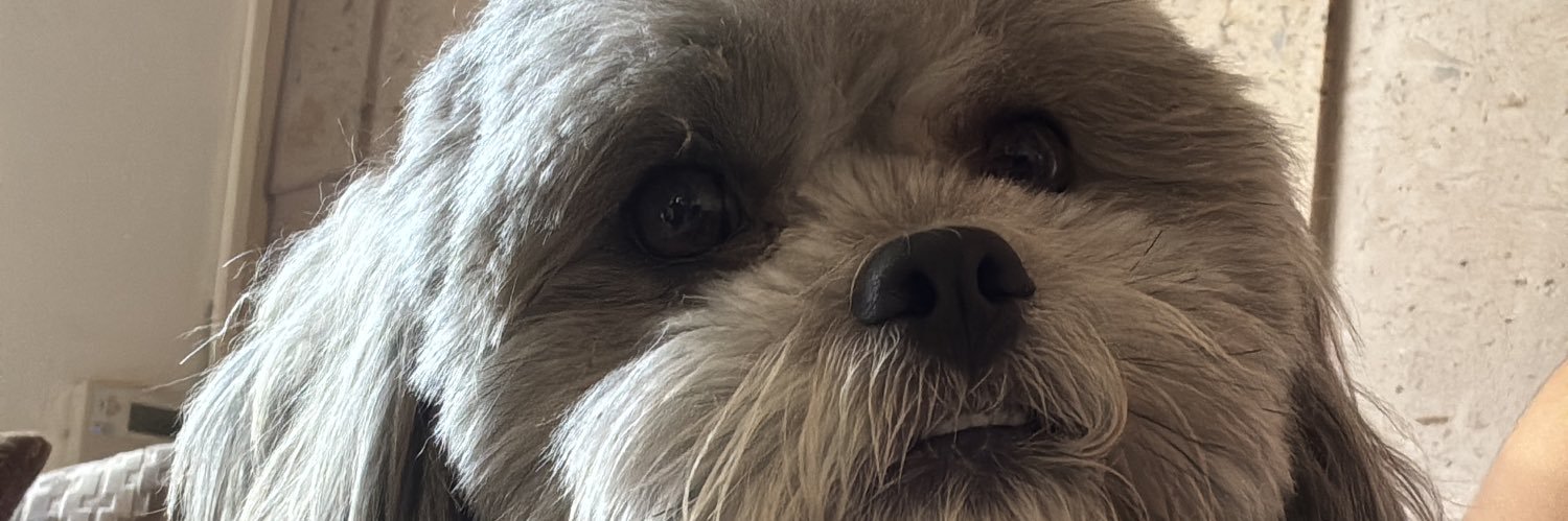 MarielaTN's profile banner image