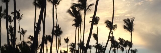 JamalJasmine's profile banner image