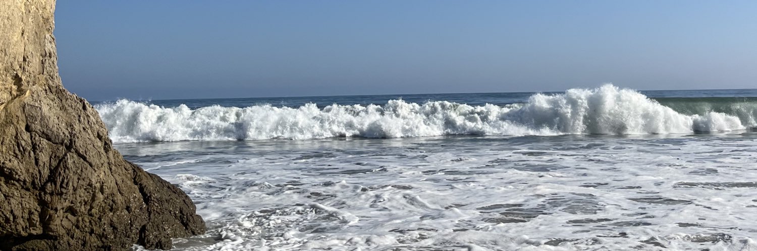 springtime sam 🌸 banner