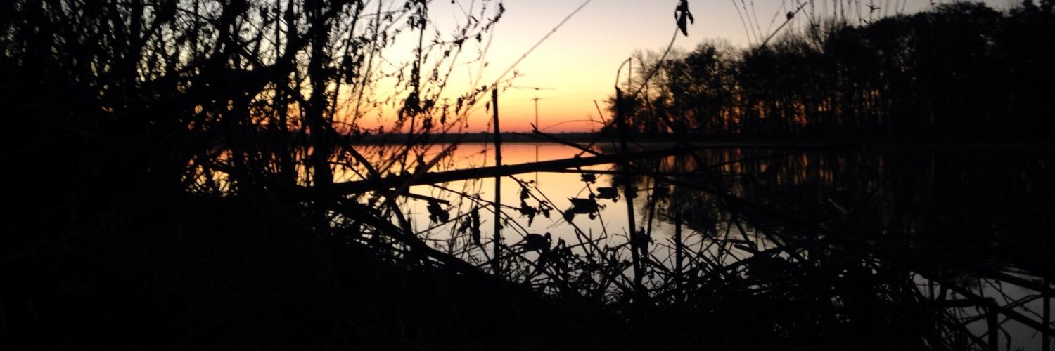 davidson1489's profile banner image