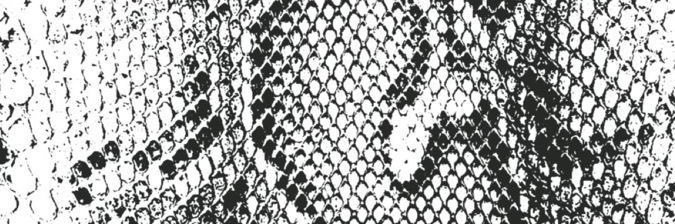 weluvsev's profile banner image