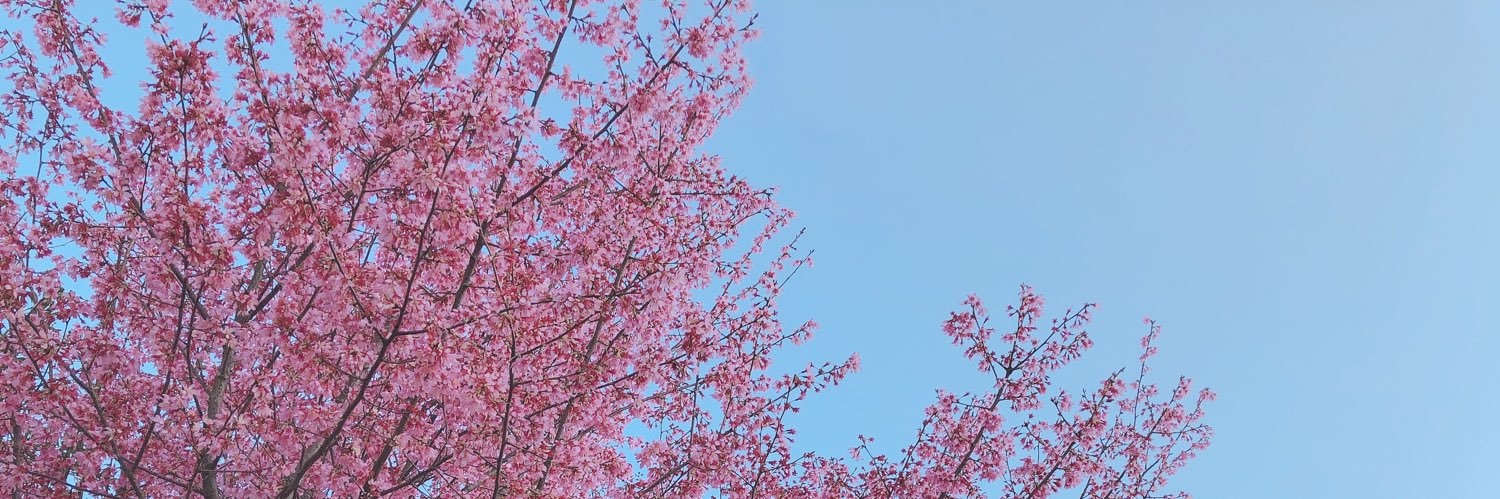 _guuu59's profile banner image