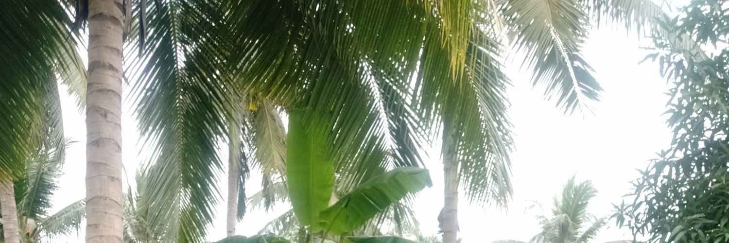 veerapvee's profile banner image