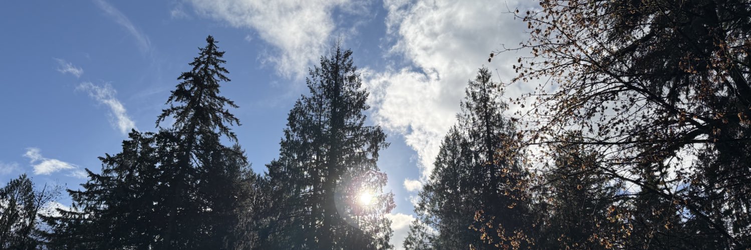 aw_weiland's profile banner image