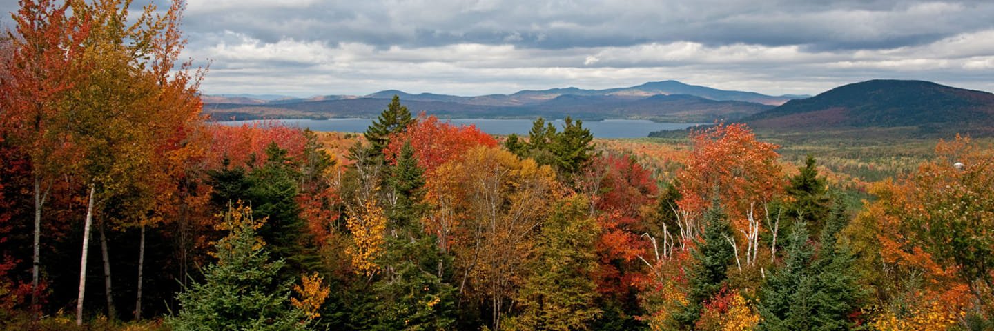 Mitchell Frondal, MBA banner