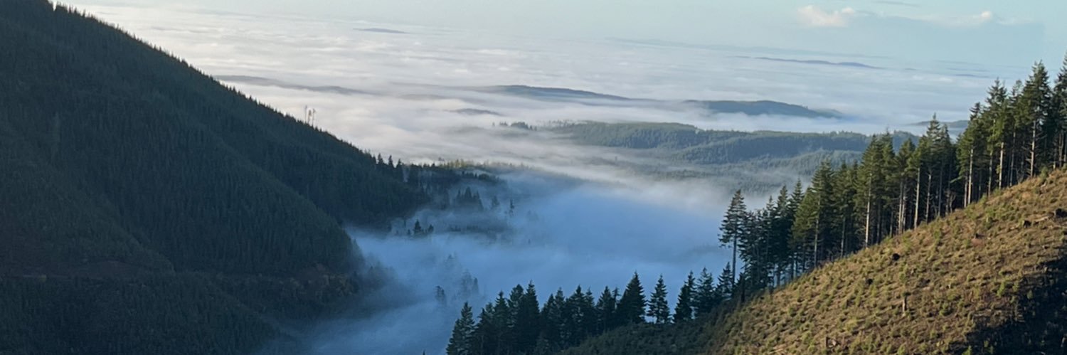DFitz_'s profile banner image