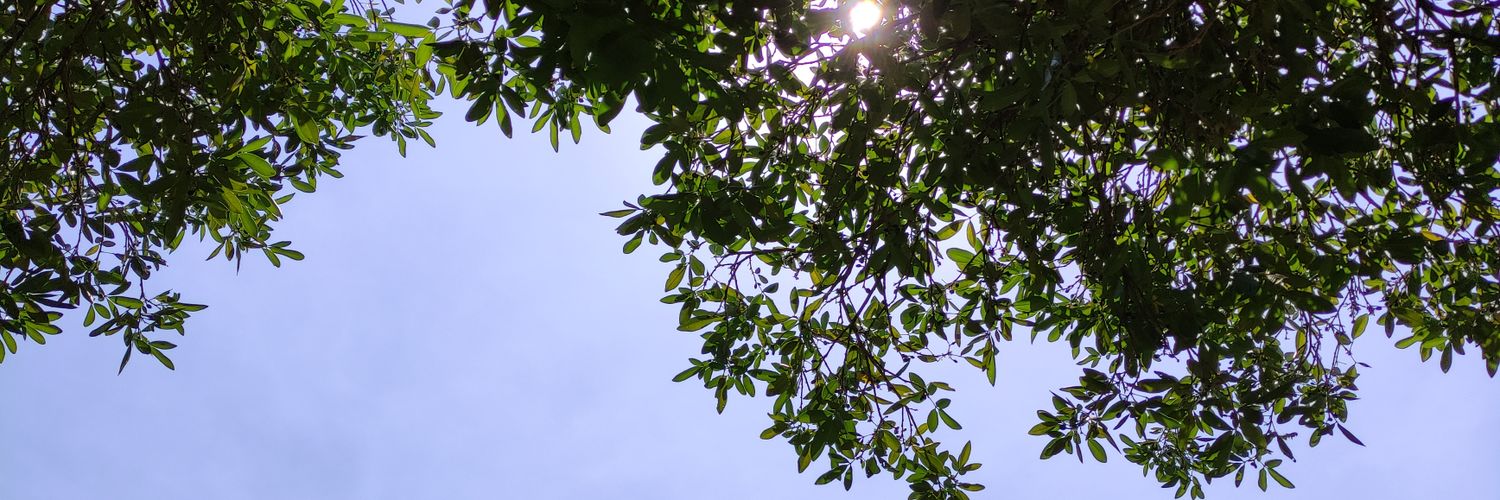 anasofiareyna's profile banner image