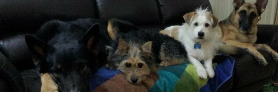 Deb Beetem LaRoche ن banner