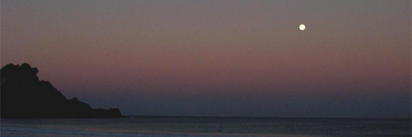 Seasecon's profile banner image