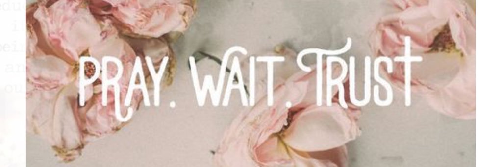 logan_perazzo's profile banner image