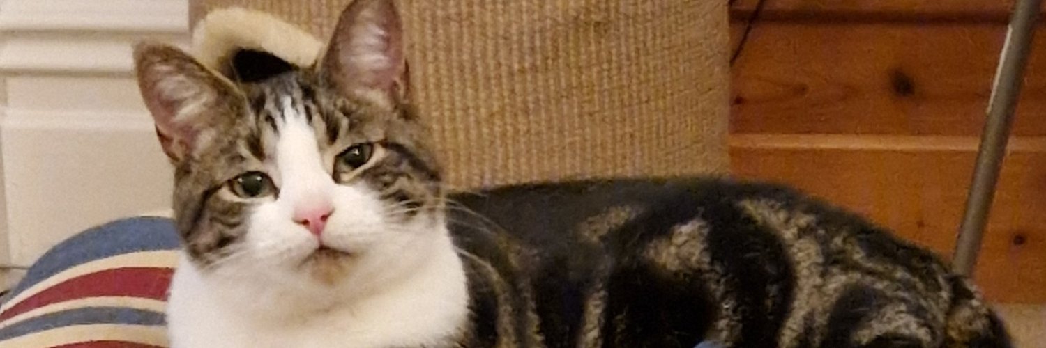 Katiep1976's profile banner image