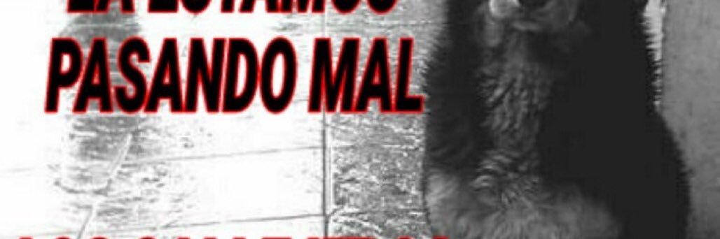 mgomezcortes's profile banner image