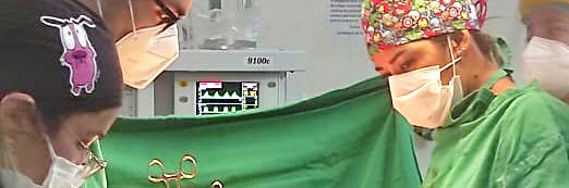 sofia04diaz's profile banner image