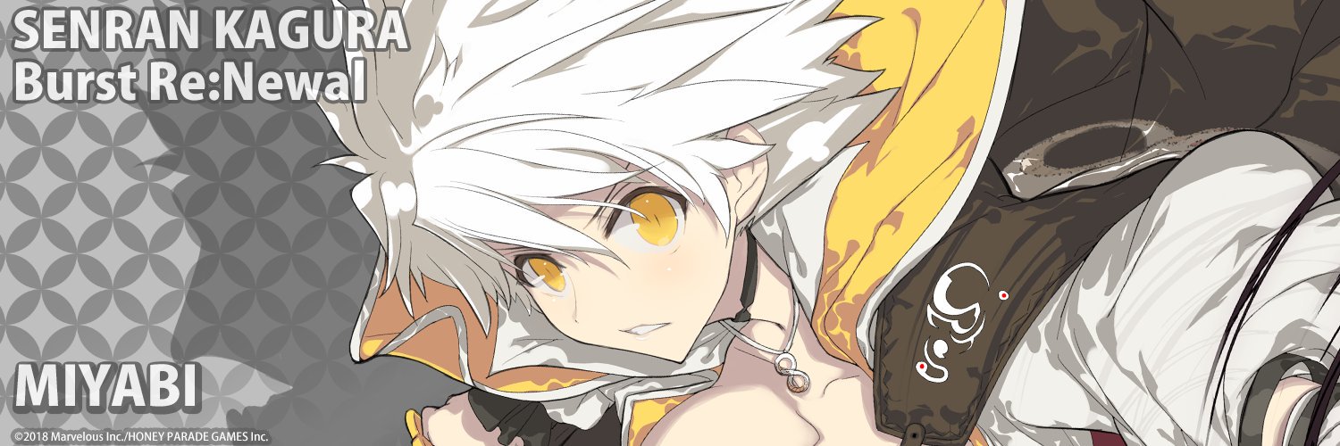 seizistar's profile banner image