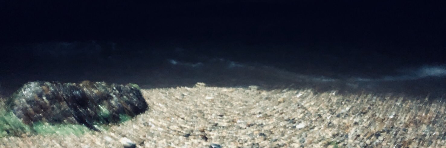 zakuroai's profile banner image