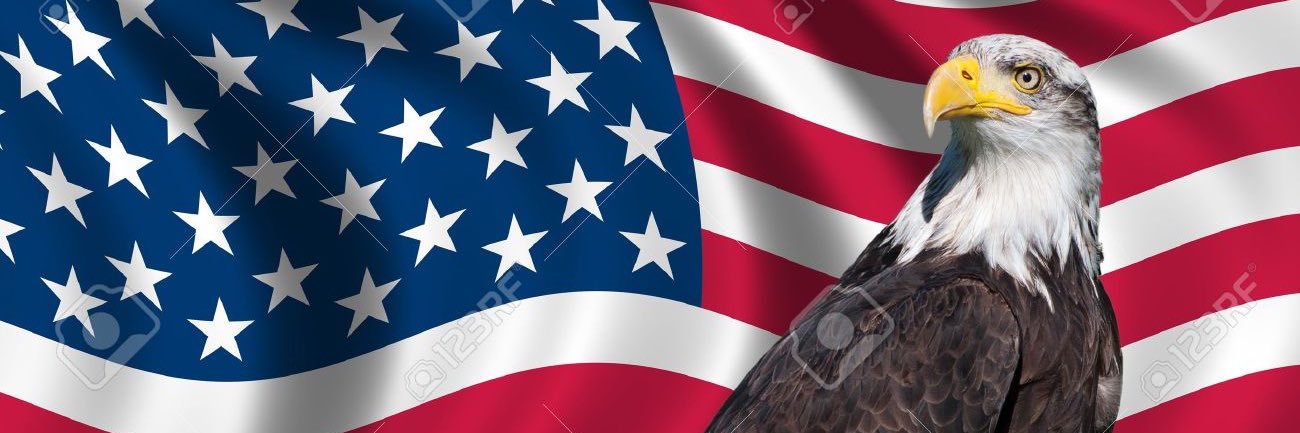 Big Guy banner