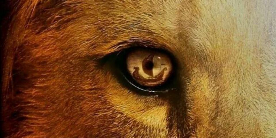 aricgr's profile banner image